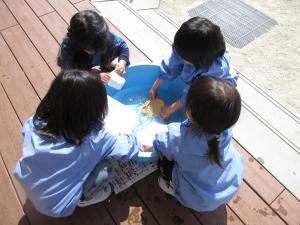 もも組　玩具を洗っています