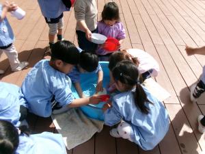 みかん組おもちゃを洗っています