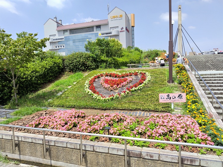 公共の植樹帯（花壇）の植栽管理（花いっぱい運動の会）画像