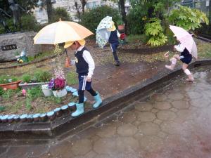 佐保幼　4月雨の散歩