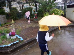 佐保幼　4月雨の散歩２