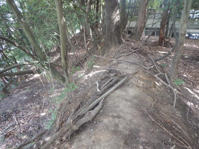 多聞城跡(土塁跡)