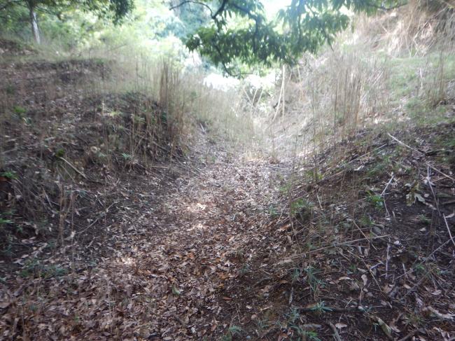 多聞城跡(竪堀跡)