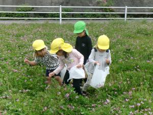 ひまわり組　レンゲを摘んでいます