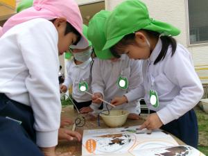 ダンゴムシが紐をのぼる