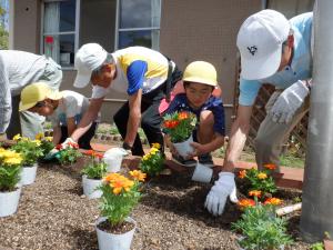 佐保幼　5月草引き３