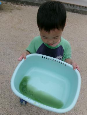 色水の入った洗面器を持つ子ども