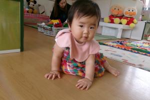 ハイハイをする0歳児