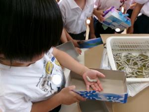 優しくね