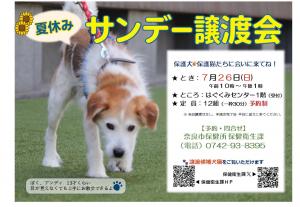 夏休みサンデー譲渡会