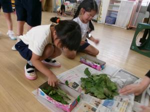 桑の葉を入れよう