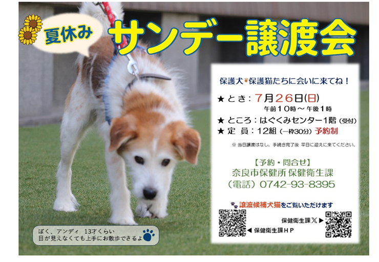 夏休みサンデー譲渡会