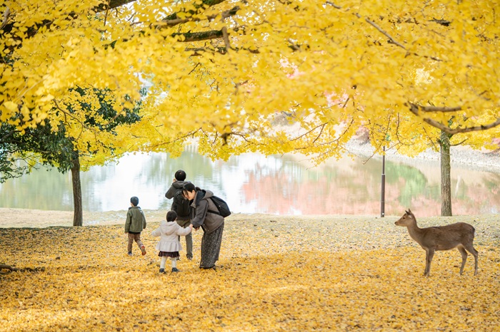 奈良公園