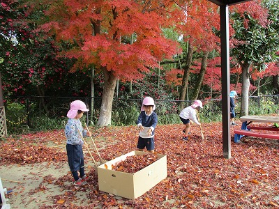 紅葉遊びの画像1