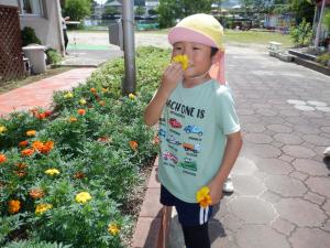 佐保幼　7月花摘み２
