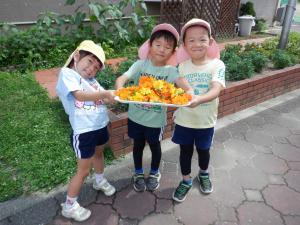 佐保幼　7月花摘み3