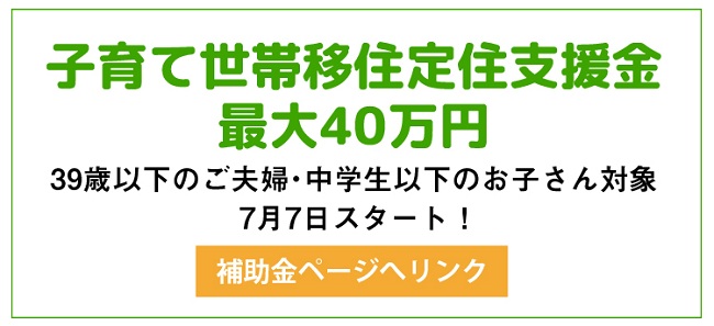 子育て世帯移住定住支援金