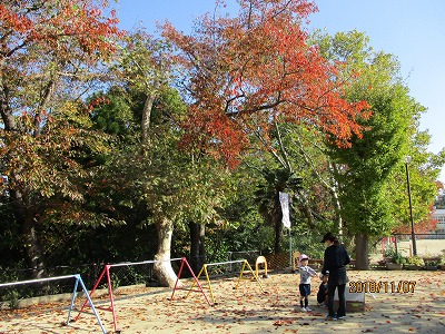 園庭で遊ぶ