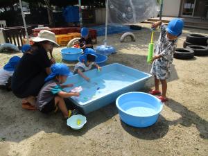 水遊びをしています