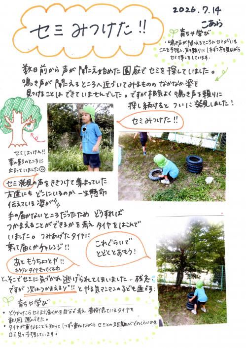 セミみつけた!!