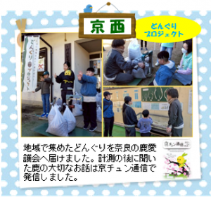 13keisei