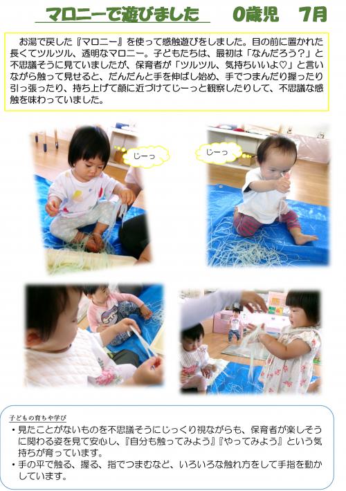 マロニー１