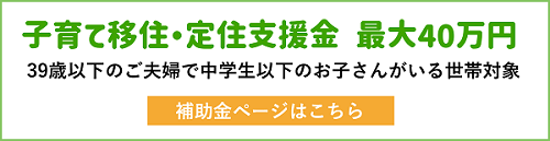 子育て移住・定住支援金最大40万円