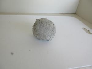 しんぶんねんど7