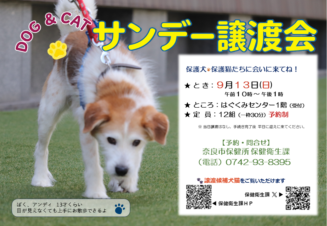 サンデー譲渡会