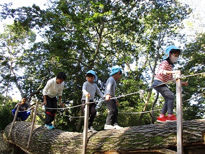 一本橋を渡る