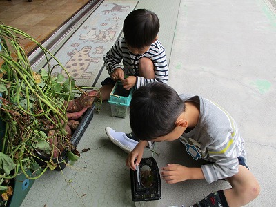 飼育ケースを眺める子ども達