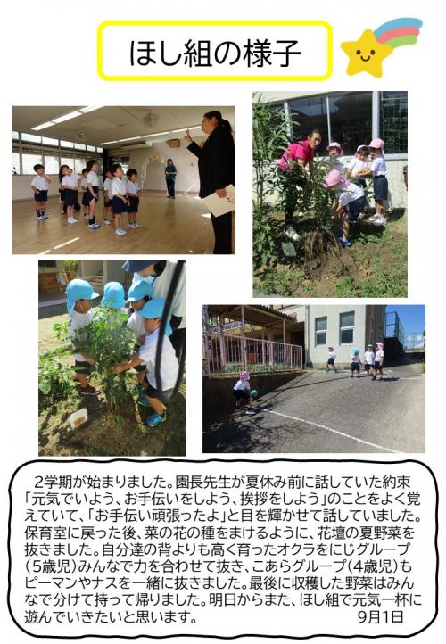 ほし組の様子