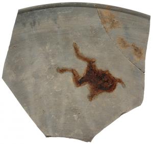カエルの残像のある須恵器