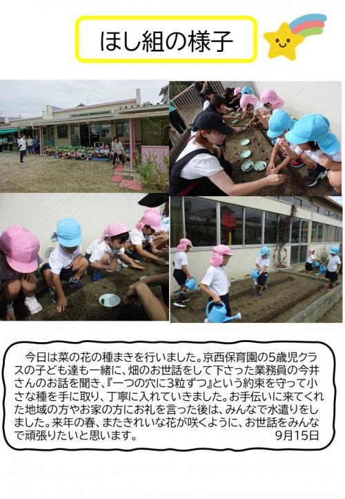 ほし組の様子