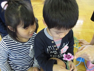 ナデシコの花を見る