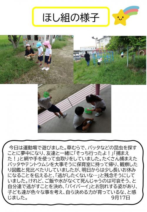 ほし組の様子