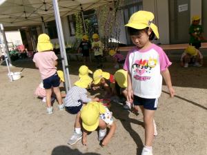 ひまわり組　草引きをしています