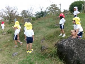 ひまわり　芝生の広場で遊んでいます