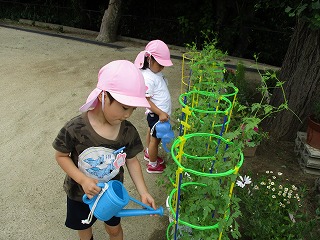 水やりの子どもたち