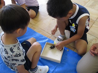 カブトムシと遊ぶの画像1