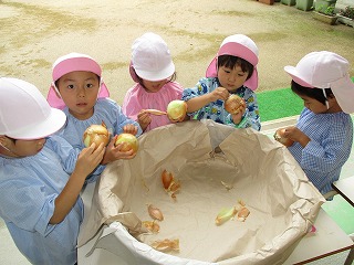 タマネギの皮むきの画像1