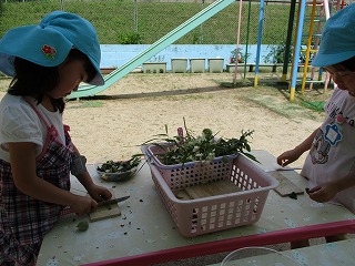 お料理遊び