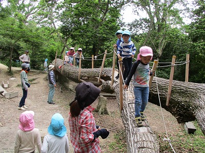 一本橋を渡るの画像1