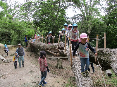 木渡り