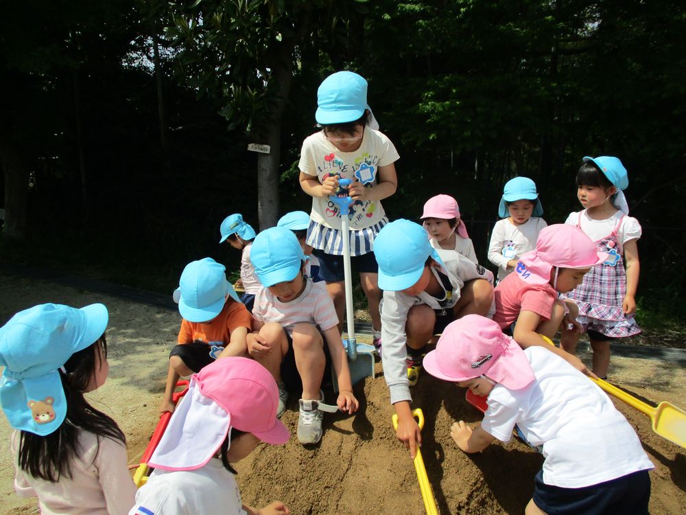 土山遊び