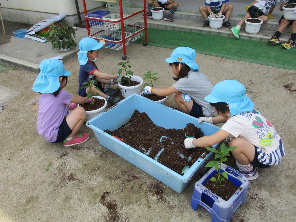 苗を植えるの画像2