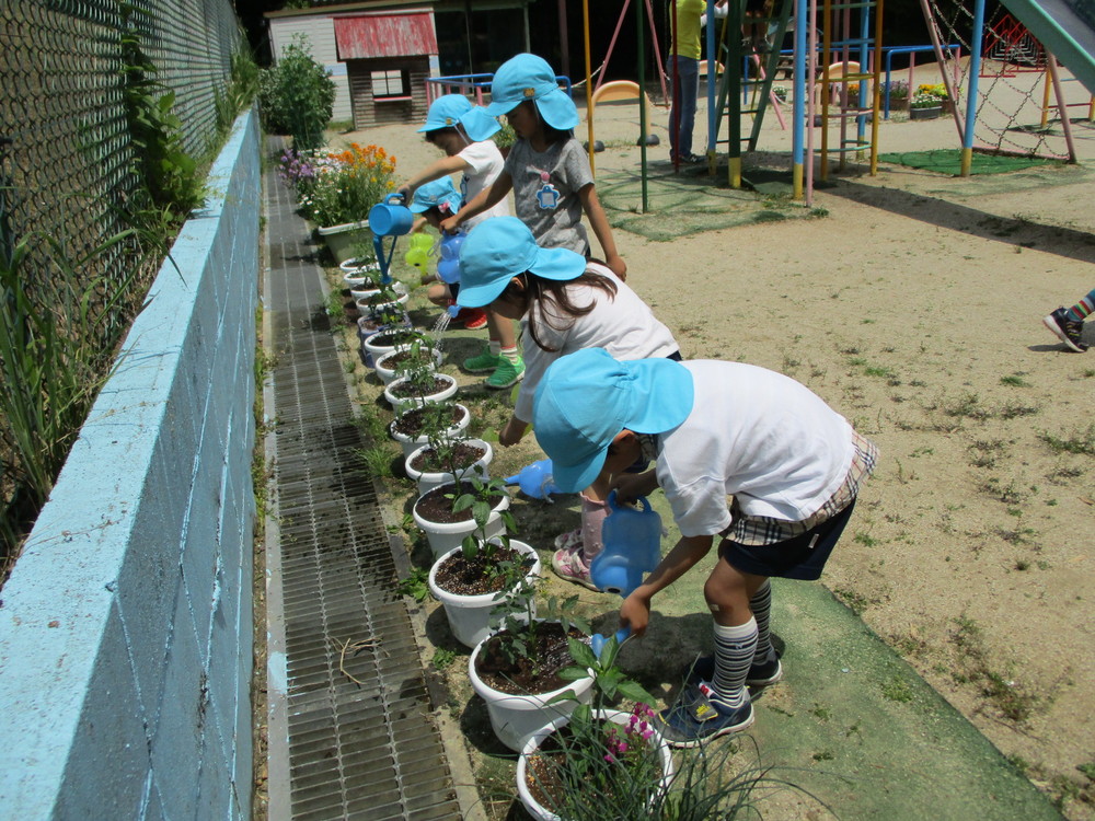 水やりをするほし組の子ども達