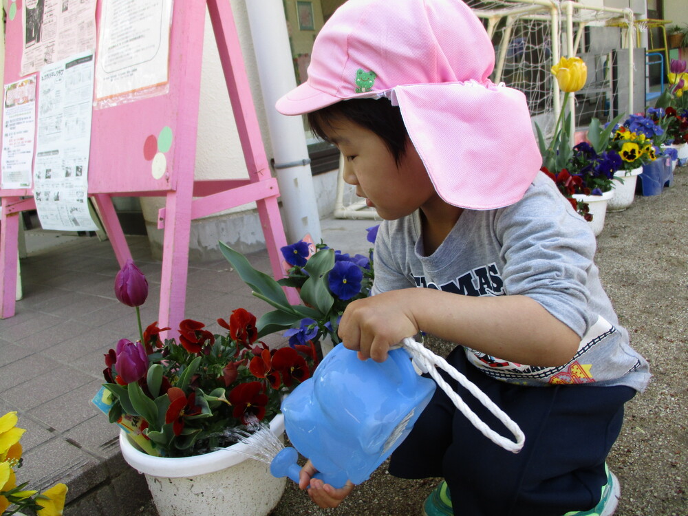 花の水やり