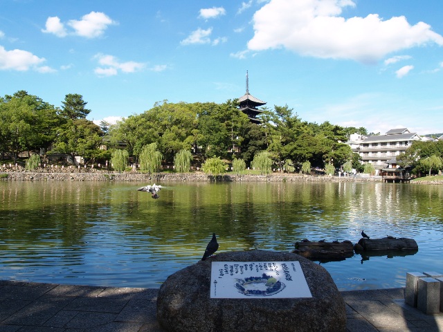 猿沢池池畔から興福寺五重塔・南円堂への眺望