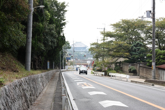 県道754号から東大寺大仏殿への眺望